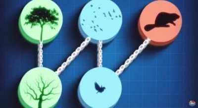 curiosidade interessante