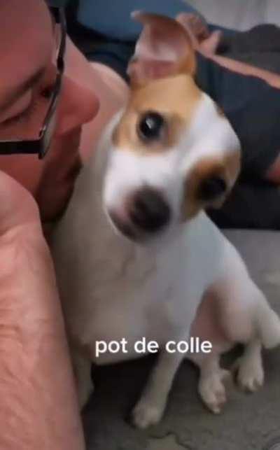 To keep the doggo away from your face