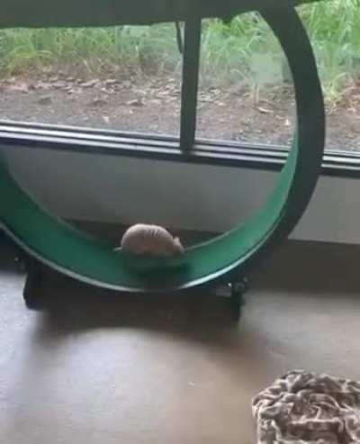 ...наш броненосец стоит на запасном пути