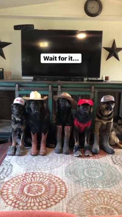 Does our 2nd boy count?!