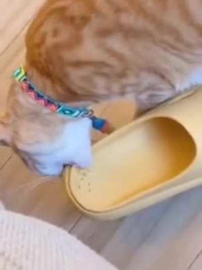 He has no remorse whatsoever.