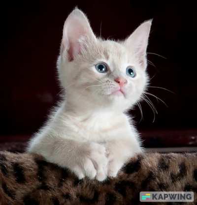 Neend nahi aa rahi thi-