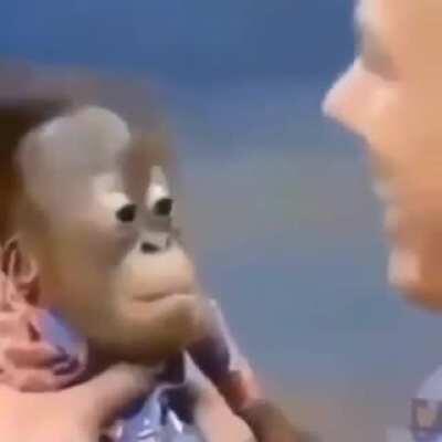 VAMOS ORSLOK DI PITO DE NUEVO 😂