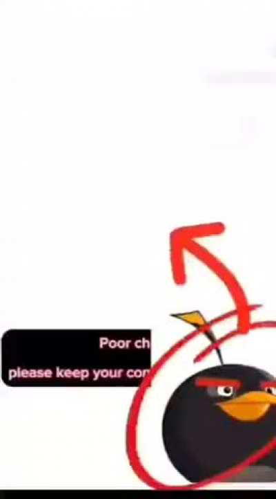 Angry birds na vida real