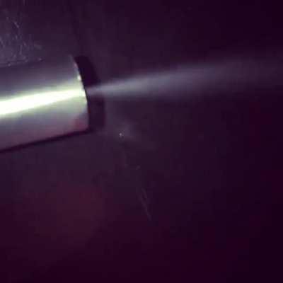 Posted in a different sub thought it belonged here