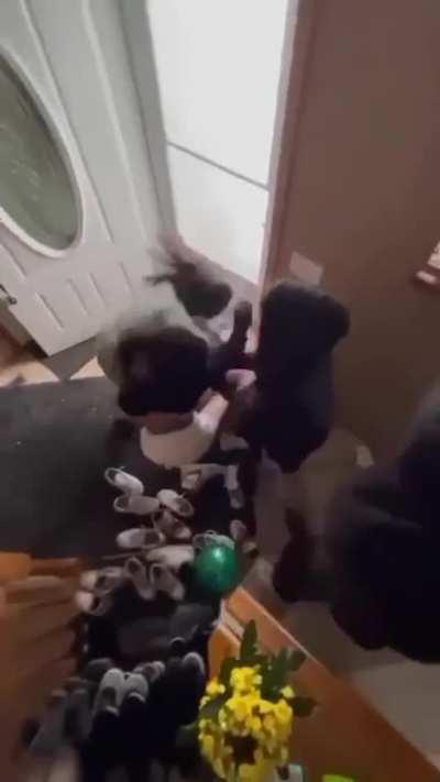 Girl LITERALLY gets Jumped