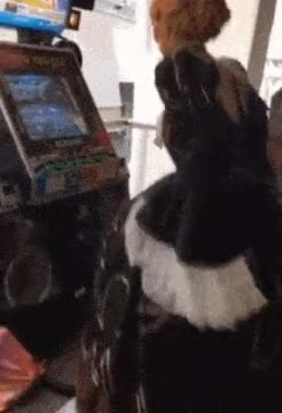 eu tava conversando com um cara recentemente, e eu falei na zuera: 