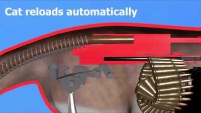 ⬆️Real😯 ⬇️Fake😡