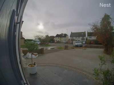 FFS Amazon, you could have used the doorbell!!