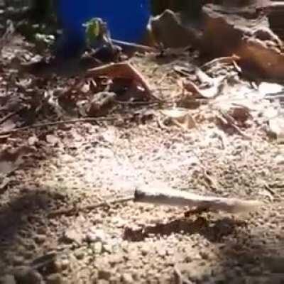 Если хочется нарушить карантин, сходить в гости и ты герой из Вселенной Марвел.