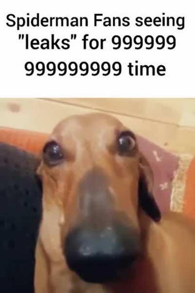 ANDREW & TOBEY CONFIRMED