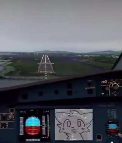 dawg wtf is my pilot doing we boutta crash 😭