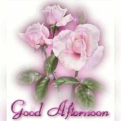 Boa tarde muquinha. O que anda fazendo agora que não pode mais ser o palhacinho do chat?