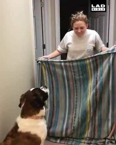 To prank the dog