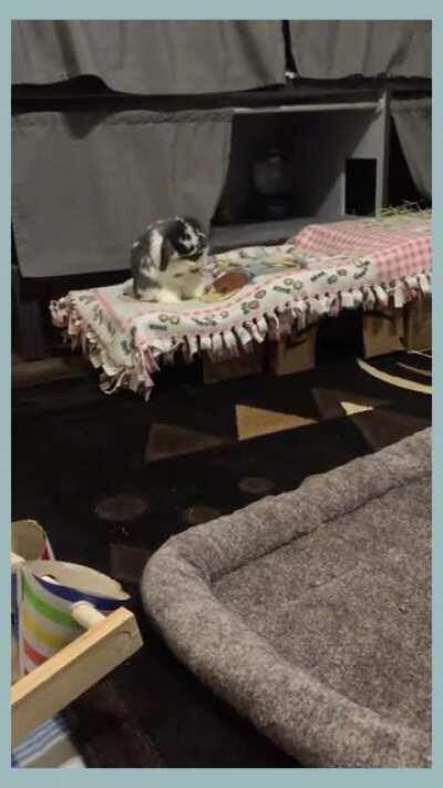 Holly meticulously cleaning up after supper.