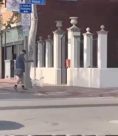 The absolute Chad is here