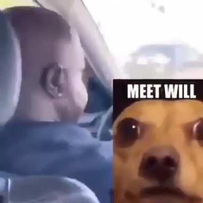 monke 2018 free download no virus