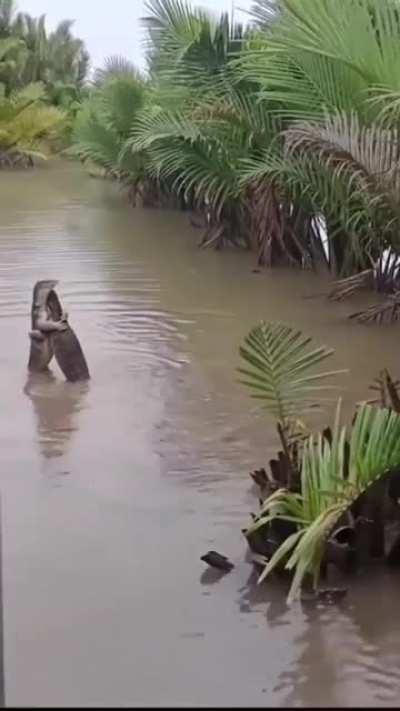 Oh friend, time without seeing you, I thought you were in some trouble