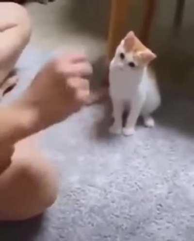 It's the hand that has been blessed by Satan