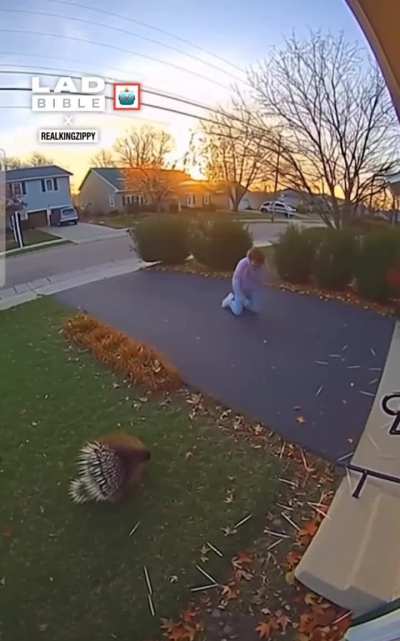 When my support thinks they can kill bb