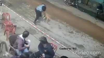 Messed with the wrong dog