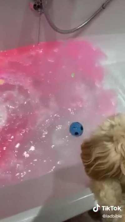 Oh we’re putting balls in the tub? I’ll put mine in, too!