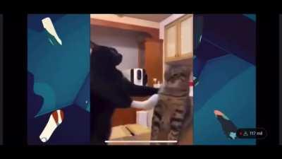 Emílio comenta sobre o medo do Arminio Fraga da economia de Lyla.