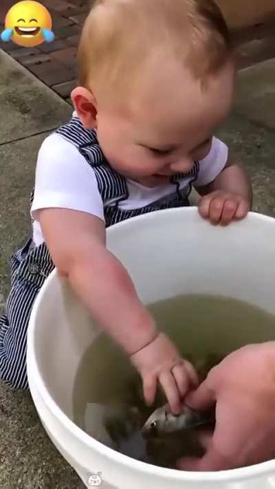 Can't stop watching this: Cute babies laughing, it's the source of our smile