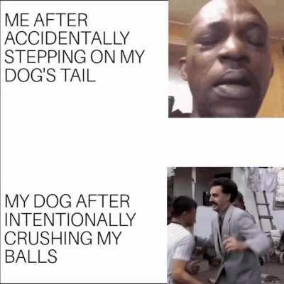 Why Little one? Why?