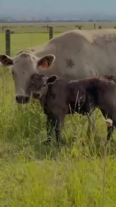 The sweetest little pair 🥰