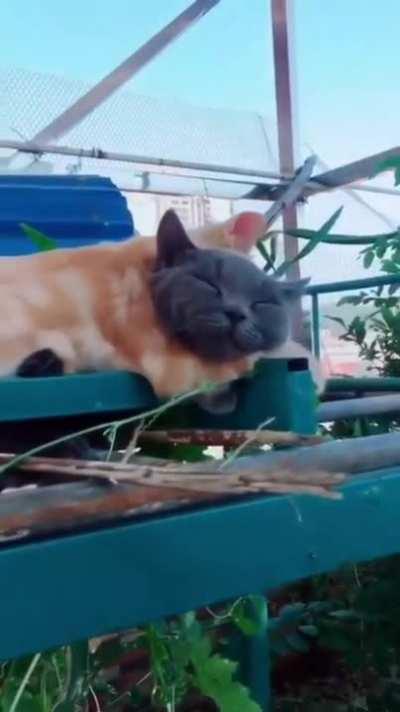 It's much more interesting to sleep this way