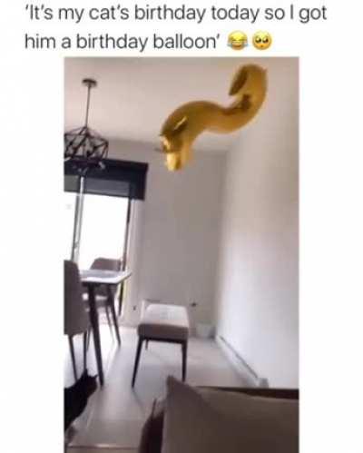 He loves his birthday balloon.