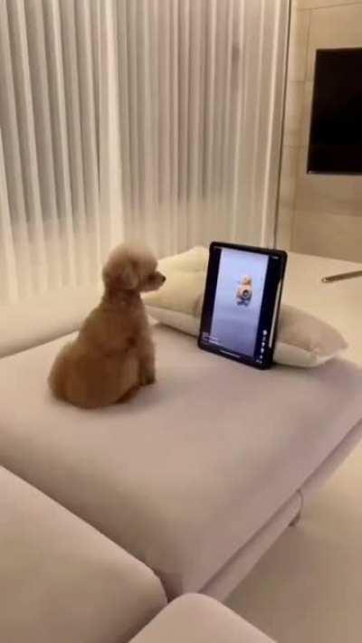 Don't mess with me 😁