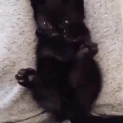 Ayoo the mf from Carti's merch is dumb af🤣🤣🤣