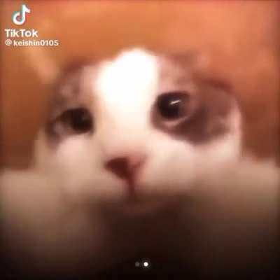 Plsss don't skip me 🥺🥺😺