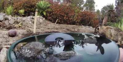 These are our hydro homies!