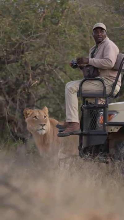 I definitely saw a lioness! Where the Hell did she go?! Oh s#*¥!