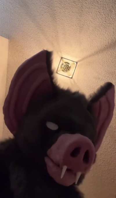 A word on snack cakes