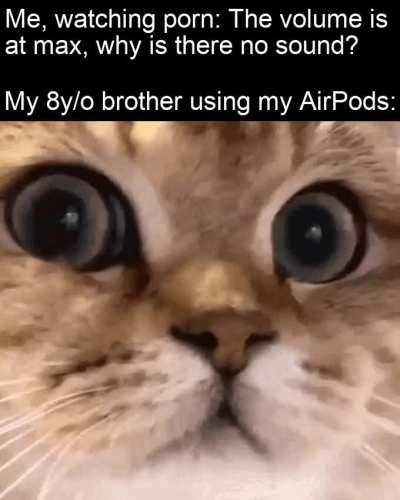 Oh god what have I done