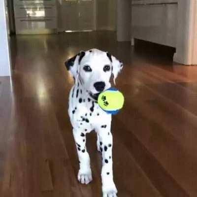 We know how to sneak up unnoticed...