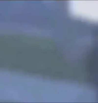 just took a shit AMA