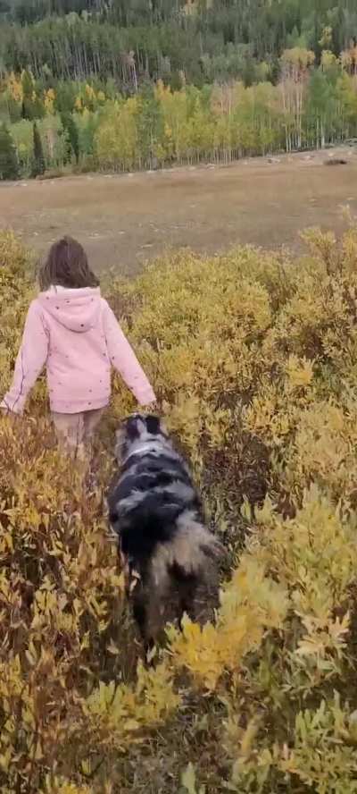 Christmas meadows fun!! 😍