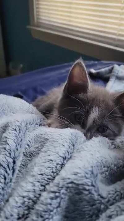 I thought that after 2 months of rehabilitation, they would be ready to reenter the world, but I was wrong. I am now considering sentencing them with life with no parole after they showed no remorse for their actions.