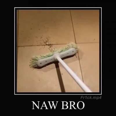 Ohhhhhh halllllll nawwww