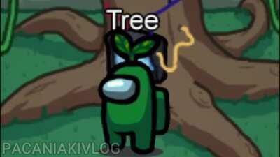 Me and my friend did it again, but with coconut song