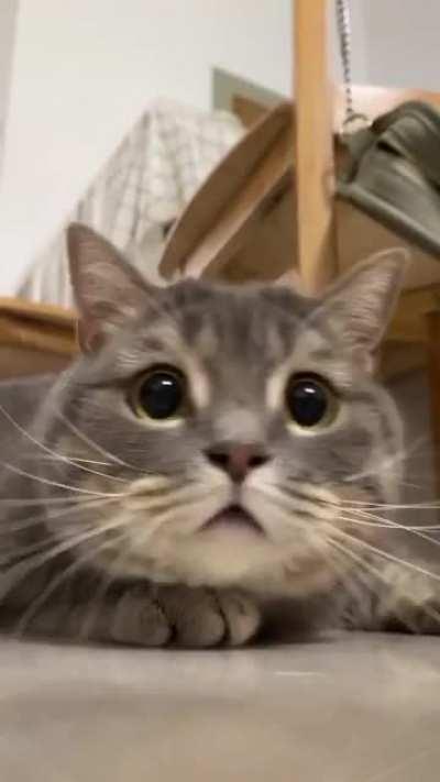 She looks beautiful as she approaches the camera