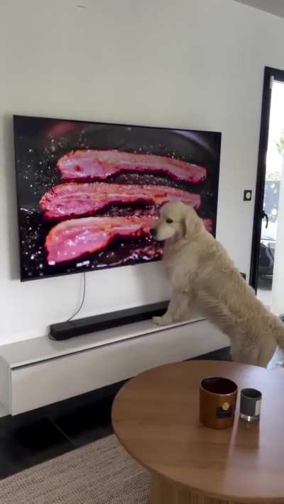 HMK While I Eat This Yummy Bacon