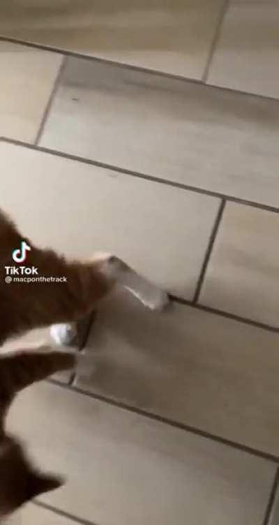 Masher looks fun! @macponthetrack