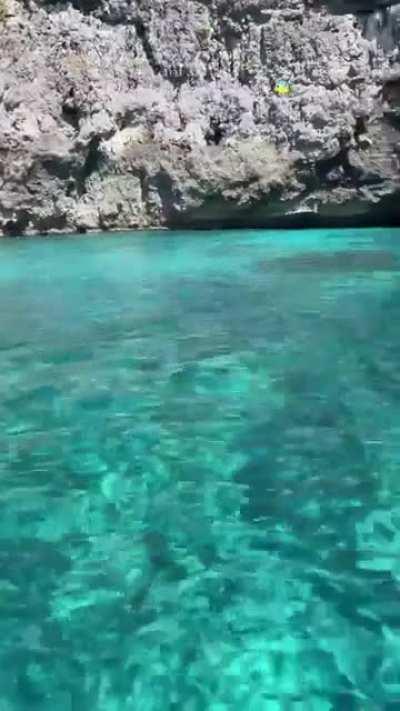 Andrea Brillantes & Friends