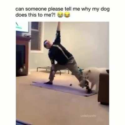 He is just trying to help